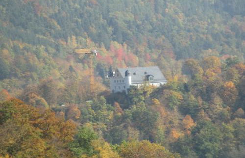 Ferienwohnung Schwarzatal - Foto 40