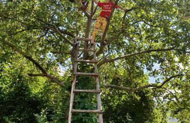 Królewska Sielanka - Foto 23