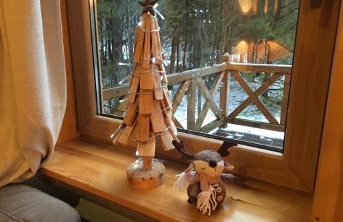 Deluxe Holiday Zdrojowa -Willa typu Alpejskiego w Borach Tucholskich-Całoroczna Balia z jacuzzi-Prywatny las i strumyk -Duża Wiata grillowa - Foto 31