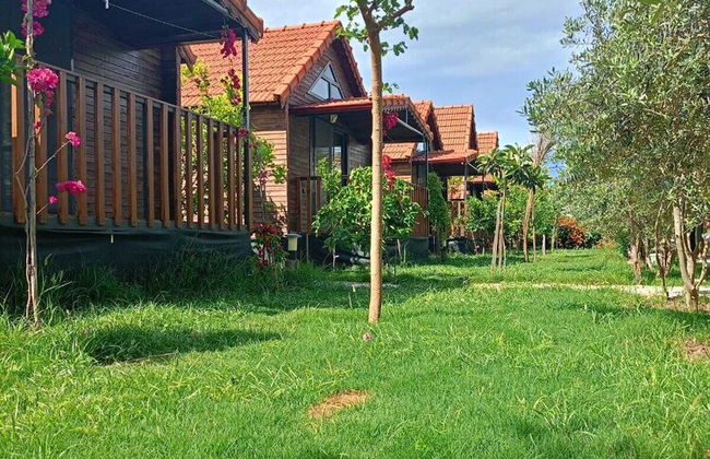 Riviera Bungalow Evleri Demre - Photo 79