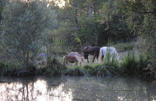 la Roulotte du Cos - Foto 10