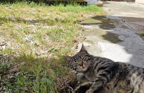 La casetta di Flo - Foto 69