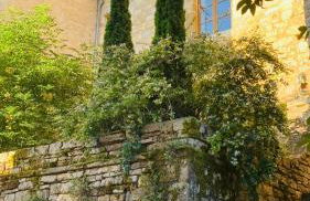 La Maison de Traverse - Gîte de caractère - Foto 2