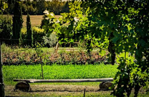 Agriturismo Olistico Atman - Foto 41