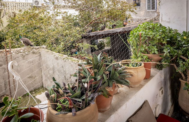 Old Jaffa Artistic Retreat by Sea N Rent - Foto 39