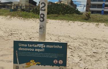 Apto e Terraço pé na areia - Foto 19
