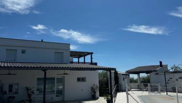 El Gallinero - Foto 2