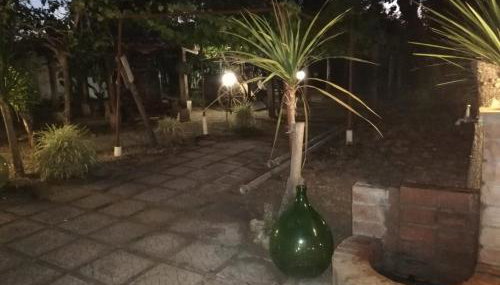 L' Agrumeto - Foto 4