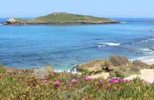 Brisa MarVilla Eira Nova - Foto 35