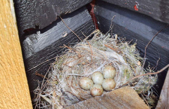 5 Person Holiday Home in Halden-by Traum - Foto 27