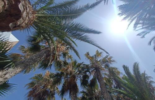 Apartamento Los Mangos - Foto 33