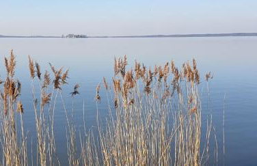 Ferienwohnung Hellmann - Foto 32