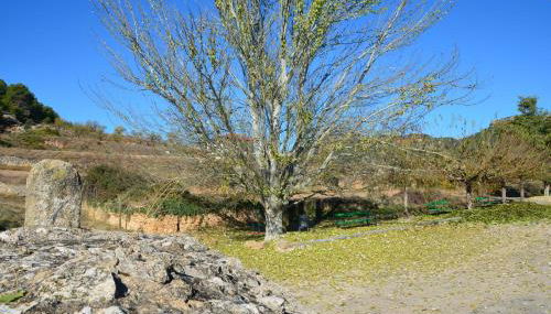 Casa LLovet - Foto 5