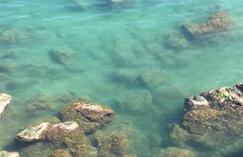 La Casetta di Dory sul Mare - Foto 49