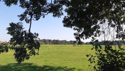 Monteurzimmer Ausma Boen 2 - Vakantiehuis Rust & Ruimte - Foto 5, Garden