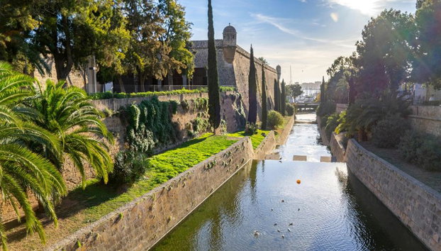 Ultimate Palma Tour: Historic Highlights Palaces, Gardens & Cathedral Tour - Foto 3