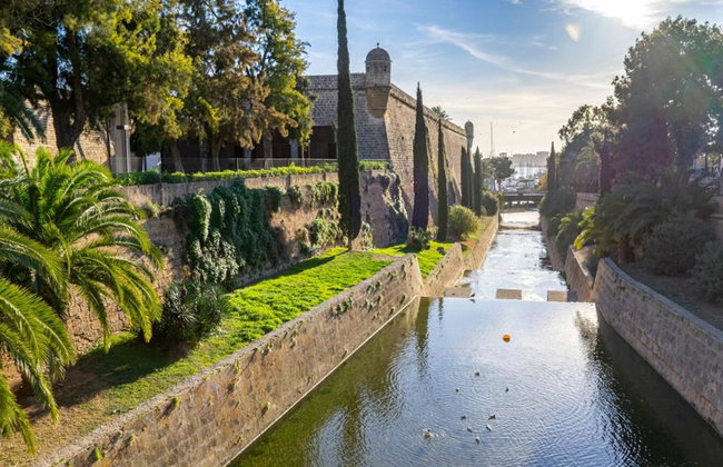 Ultimate Palma Tour: Historic Highlights Palaces, Gardens & Cathedral Tour - Foto 3