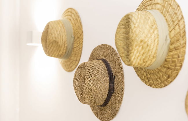 Quinta Pedra dos Bicos - Foto 10