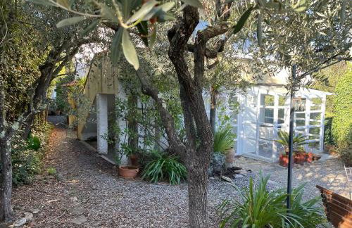 Ferienhaus Casa Pino mit eingezäuntem Garten in Ligurien zur Alleinnutzung - Foto 26