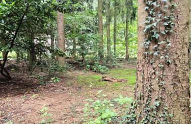 Idyllisch & ruhig - gemütliches Ferienhaus im Wald Hunde willkommen, in Hatten, nahe Oldenburg - Foto 47