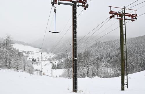 Holiday home in Neichen with barbecue - Foto 37