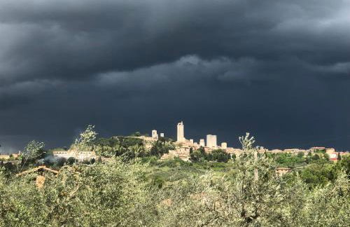 Podere Bellavista - Foto 74