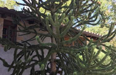 Casa Can Boix - Foto 51