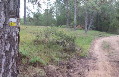 Ciudad Encantada Tio Daniel - Foto 63