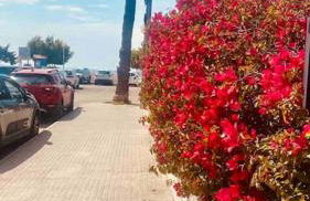 Apartament Hola Cabo Roig - Photo 25