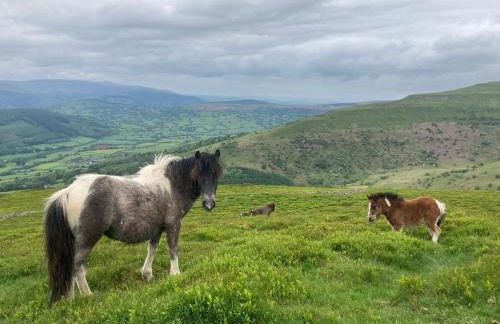 Boutique High Street Apartment In Crickhowell - Photo 50