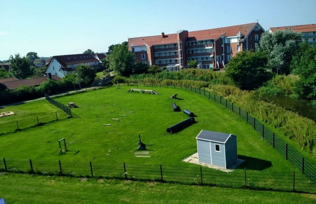 Sun, Mudflats and sea - Foto 36