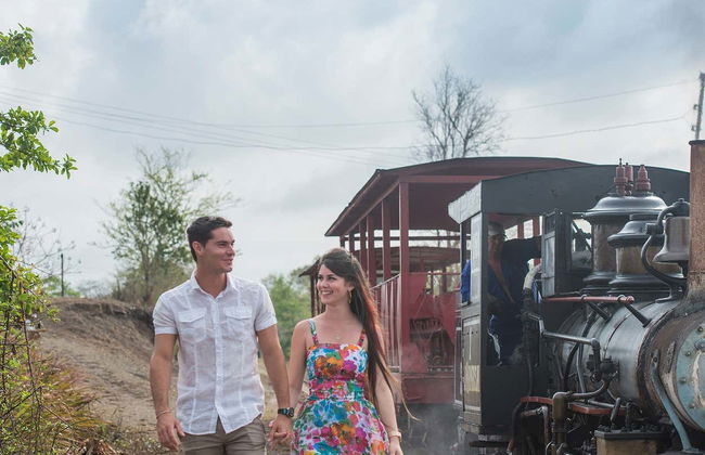 Tour do tabaco, do rum e do açúcar - Foto 3