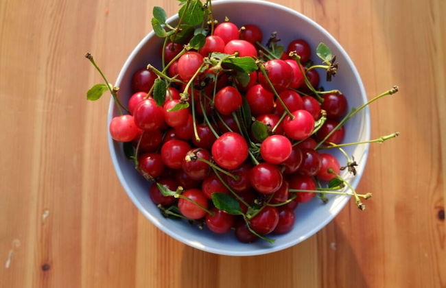 Country House Landlust - Foto 14