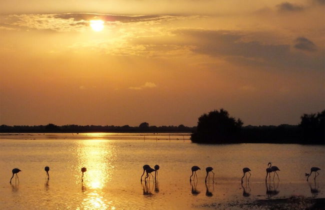La Cabane du Boumian - Foto 64