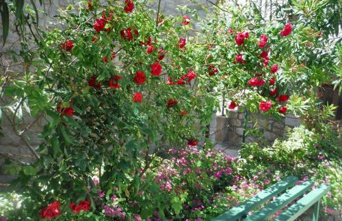 Sea View Apartment in Prvić Luka, 46m², Terrace - Foto 25