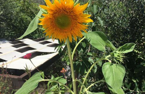 Harry's Studios - Photo 57