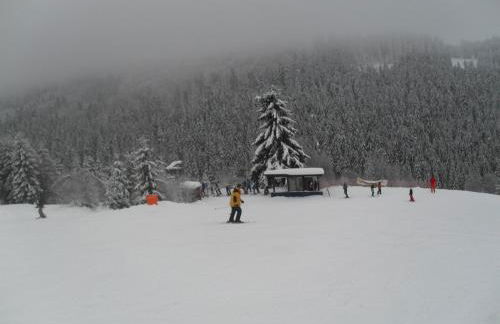 Haus Blick am Edersee - Foto 52