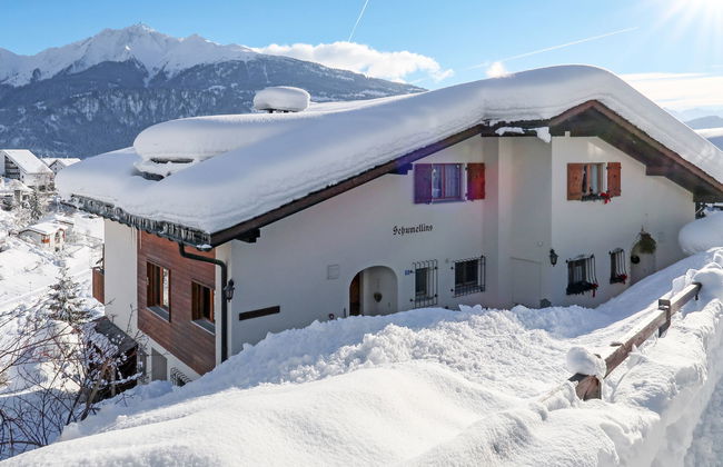 Schumellins (LAA400) - Foto 2