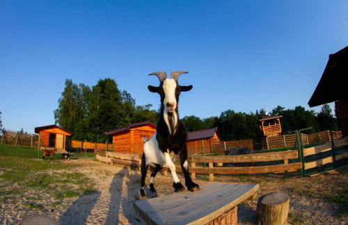 Zagroda Nad Kotelnią - Foto 75