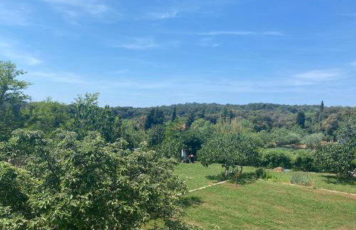 Villa Mara - Photo 12