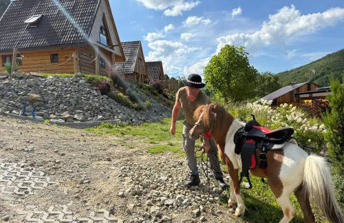 Wzgórze w Cieniu Lasu - Photo 59