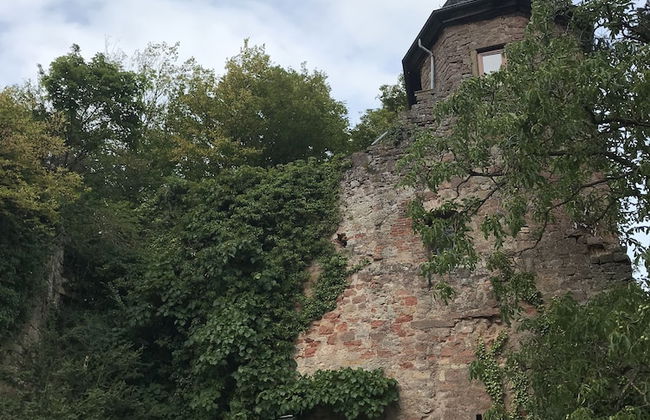 Barocker Hof Rhodt - Foto 50