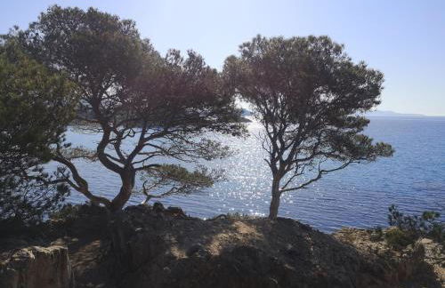 Une Nuit à Bali - Appartement cocooning - Foto 40