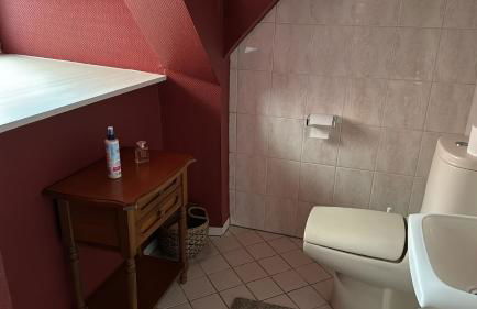 Historische Mühle am Schloss - Foto 18