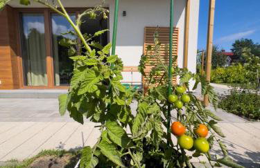 Apartamenty i pokoje nadmorskie - Owocowe Wzgórze - Foto 60