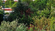 Dijana's Haus - Foto 2