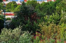 Dijana's Haus - Foto 2