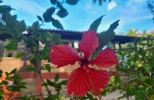 Casa 4 dorms 2 suites - localização perfeita no centrinho e rodeada de natureza - Foto 33