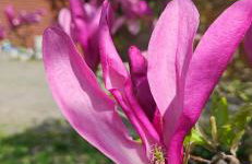 Chata Górska Sowa, Cały Dom tylko dla Was - Foto 2