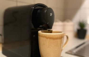 K2-Project - Dschungel-Abenteuer - Foto 12